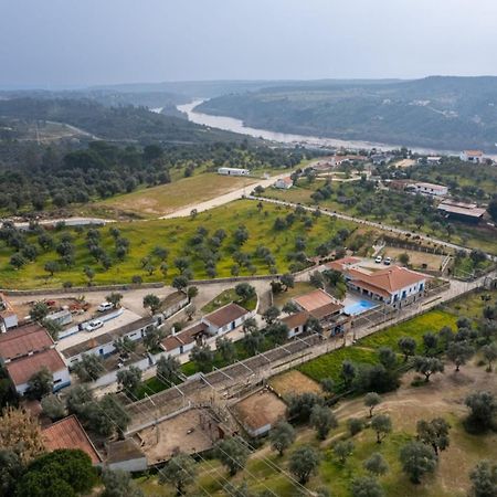 Quinta Ribeiro Tanquinhos Guest House Tancos Ngoại thất bức ảnh