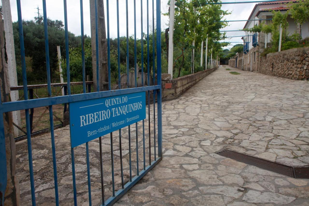 Quinta Ribeiro Tanquinhos Guest House Tancos Ngoại thất bức ảnh