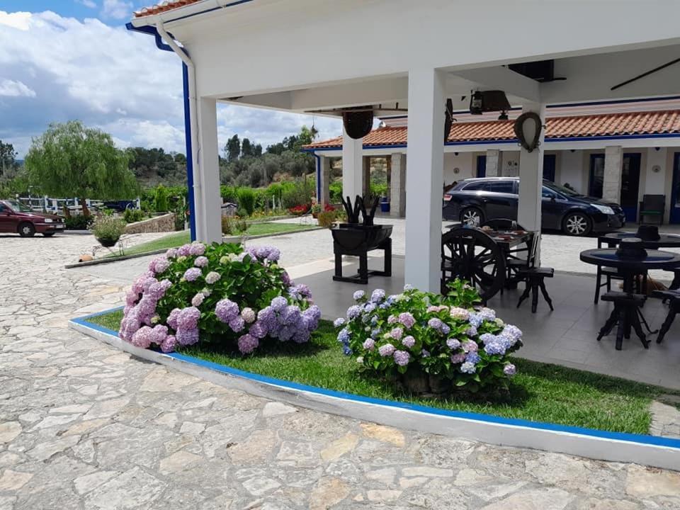 Quinta Ribeiro Tanquinhos Guest House Tancos Ngoại thất bức ảnh