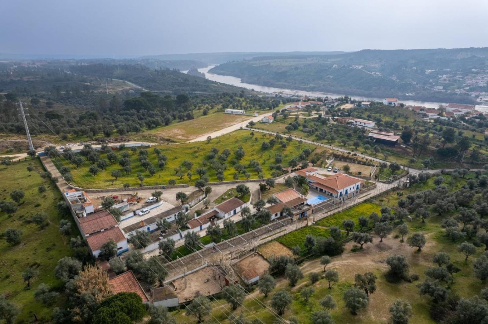 Quinta Ribeiro Tanquinhos Guest House Tancos Ngoại thất bức ảnh