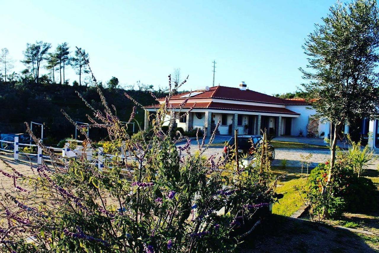 Quinta Ribeiro Tanquinhos Guest House Tancos Ngoại thất bức ảnh